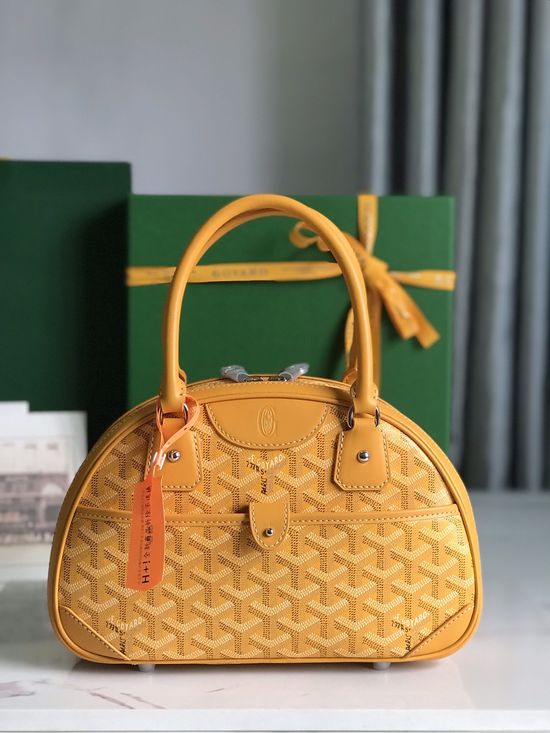 Goyard Bowling Mini Vintage Canvas Leather Bag 020298