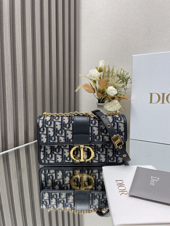 Christian Dior Montaigne Leather Chain Bag 9207