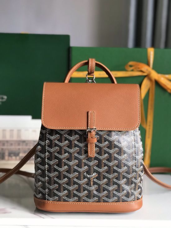 Goyard Alpin Mini Convertible Backpack 020195-1