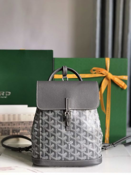 Goyard Alpin Mini Convertible Backpack 020195-1