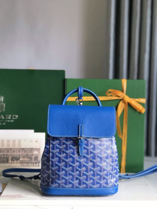 Goyard Alpin Mini Convertible Backpack 020195-1