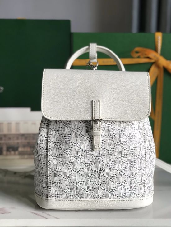 Goyard Alpin Mini Backpack 020195-1