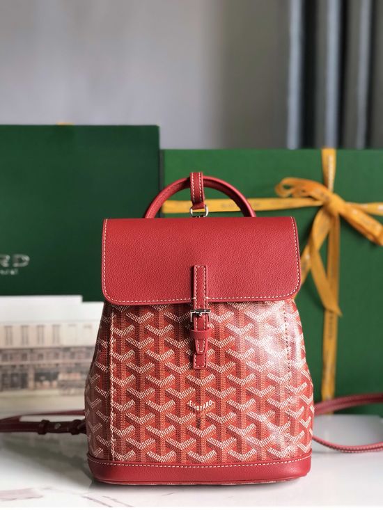Goyard Alpin Mini Backpack 020195-1