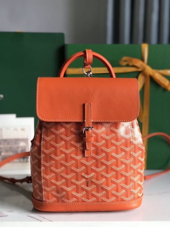 Goyard Alpin Mini Backpack 020195-1
