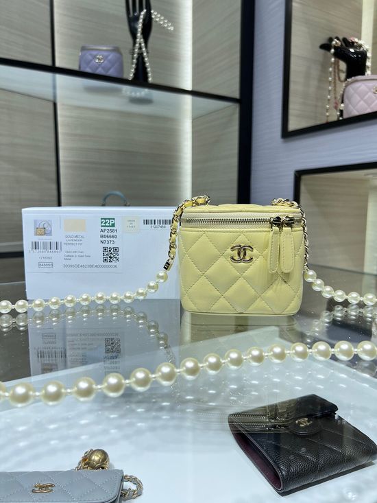 Chanel Pearl Chain Vanity Case AP2581Y