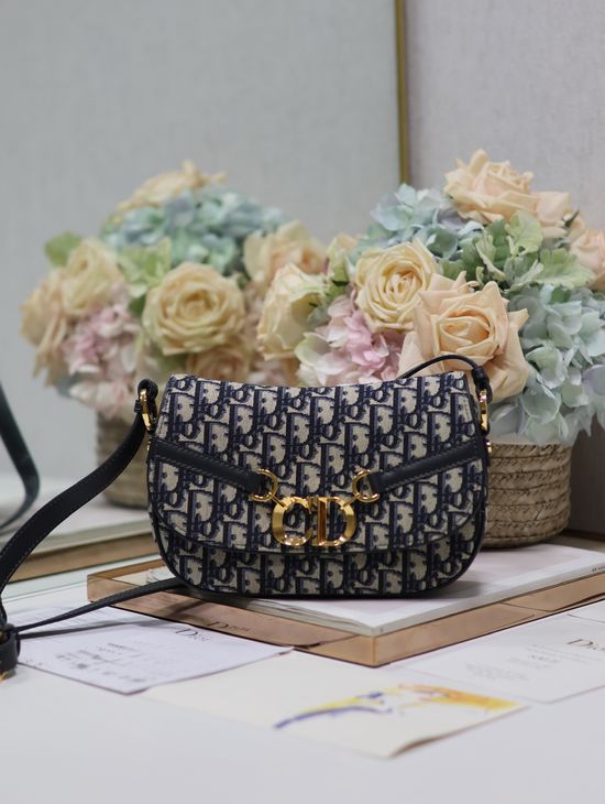 Christian Dior CD Besace Oblique Printed Handbag 9380