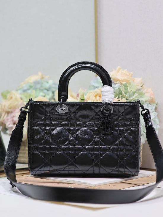 Christian Dior Lady D-Sire Leather Handbag 1151