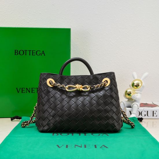 Bottega Veneta Andiamo Chain Small Bag 6008