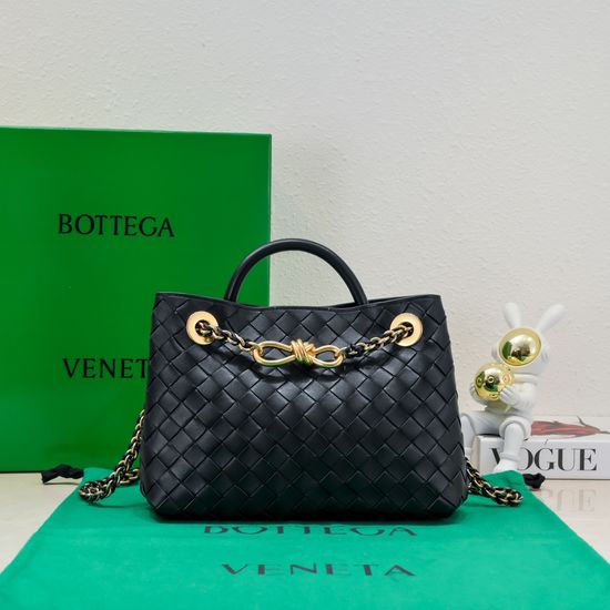 Bottega Veneta Andiamo Chain Small Bag 6008