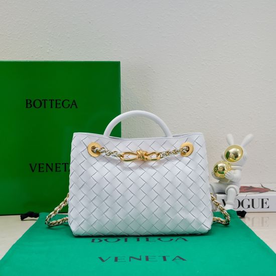 Bottega Veneta Andiamo Chain Small Bag 6008