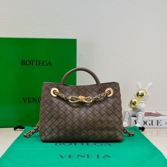 Bottega Veneta Andiamo Chain Small Bag 6008