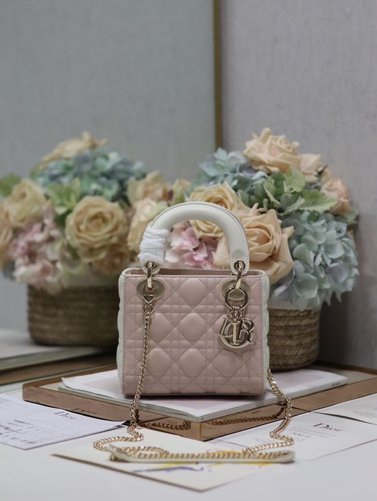 Christian Dior Lady Christian Dior Colorblock Lambskin Handbag 0505