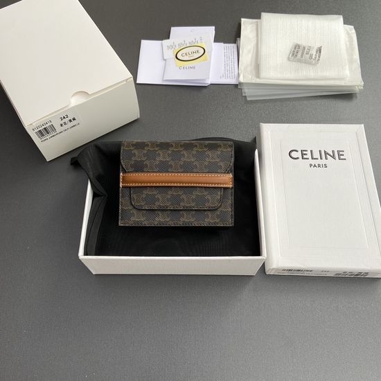 Celine Triomphe Printed Card Holder 10E242BZ904