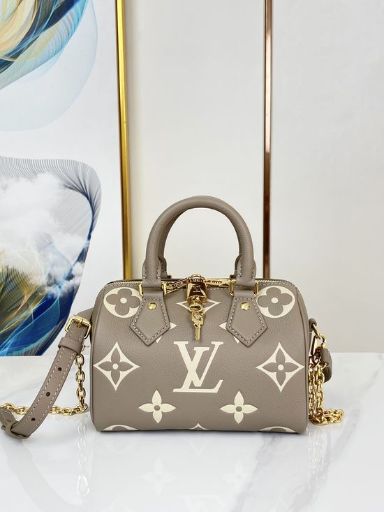 Louis Vuitton Speedy Gray Leather Handbag M46575