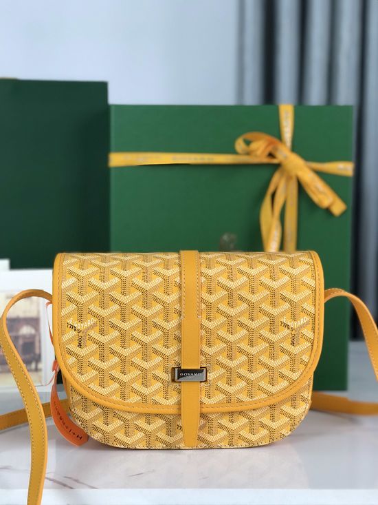 Goyard Belvedère Textured Small Crossbody Bag 020198-1
