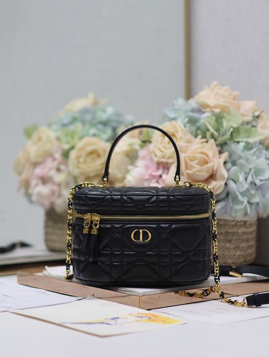 Christian Dior 30 Montaigne Vanity Small Handbag 5198