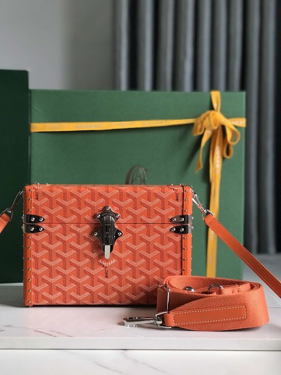 Goyard Cassette Box Bag 2101