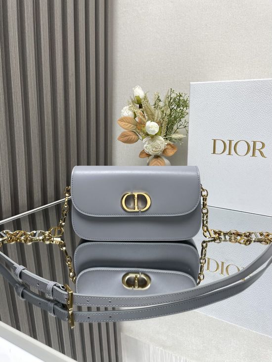 Christian Dior 30 Montaigne Avenue Enamel Chain Bag 9015