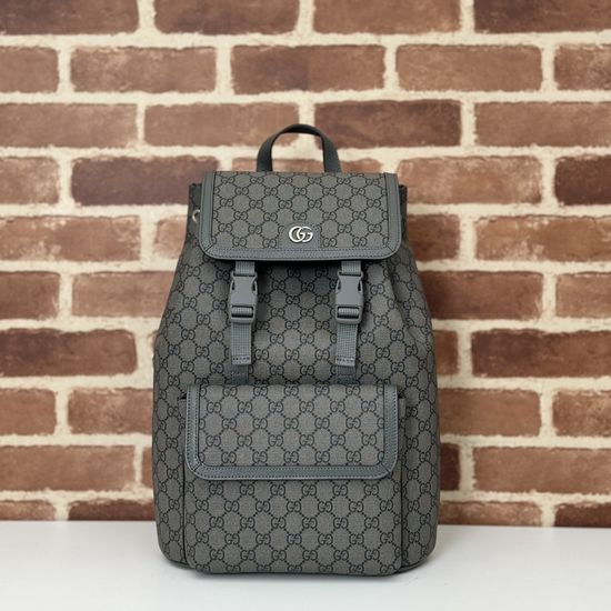 Gucci Large Bag Gray PVC 792114