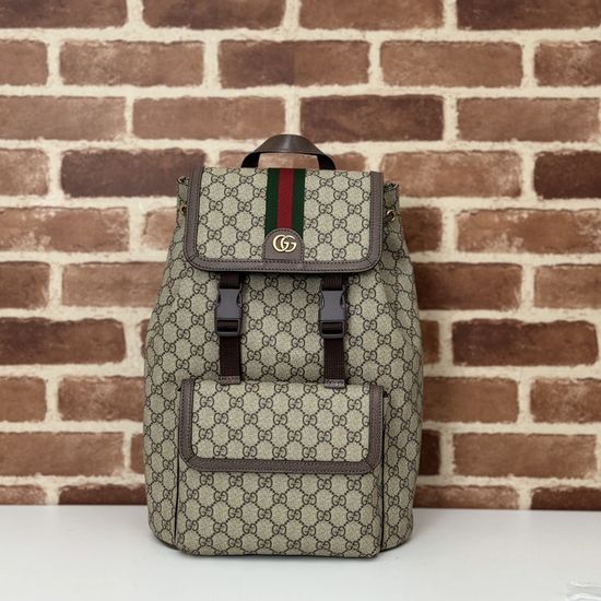 Gucci Large Bag Brown PVC 792114