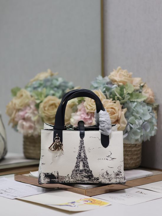 Christian Dior Toujours Small Handbag 1188