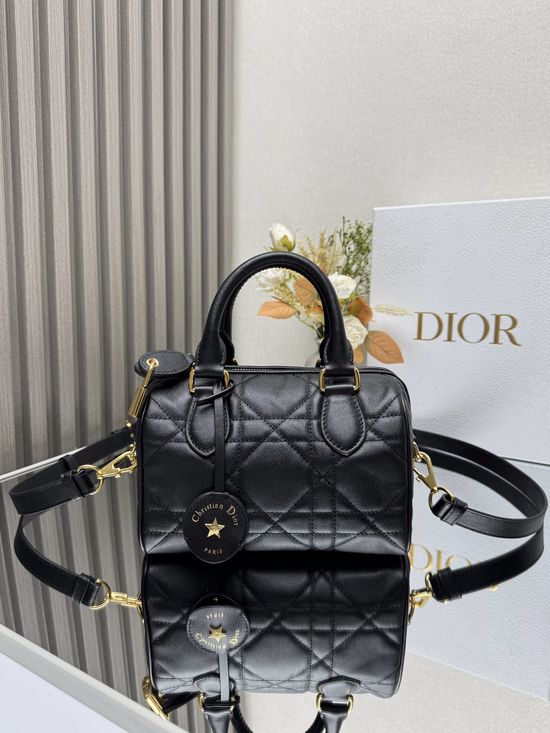 Christian Dior Groove Oblique Handbag 1364