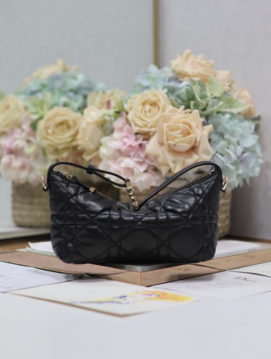 Christian Dior Travel Nomad Clutch 5553