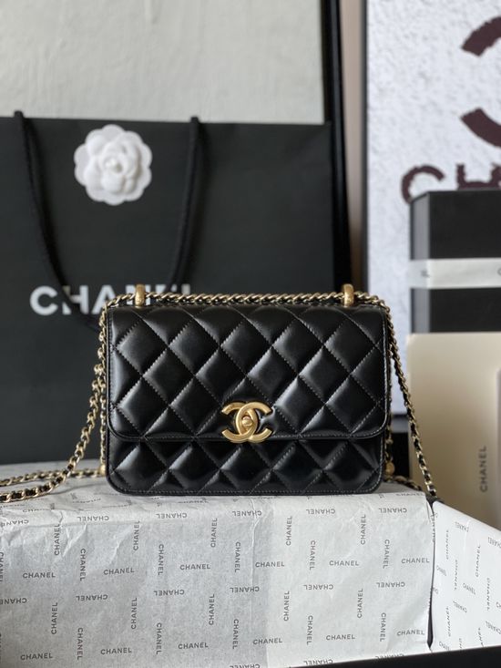 Chanel Classic Bag Elegant Simple Medium CF AS2649