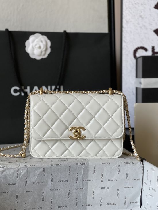 Chanel Classic CF Bag Medium Top-Quality Leather AS2649