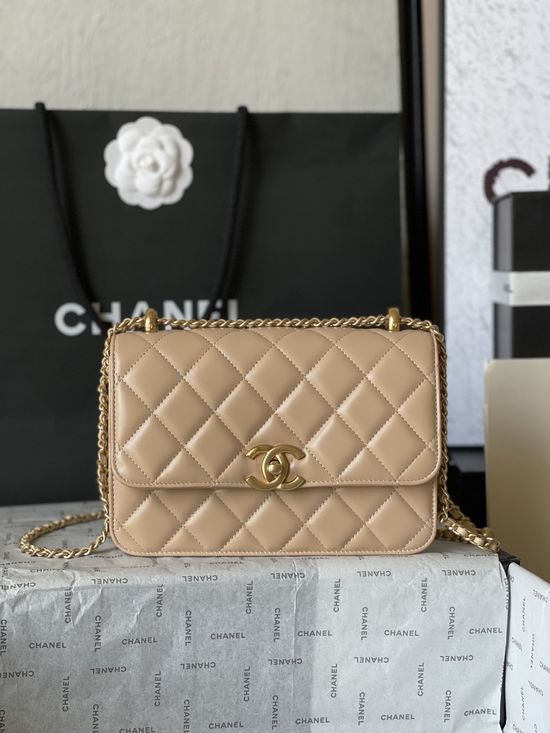 Chanel Classic CF Head-Layer Leather Handbag AS2649
