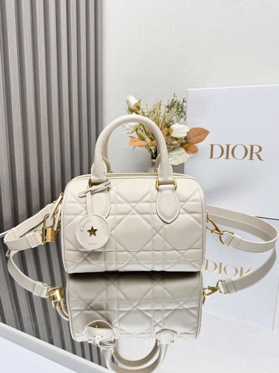 Christian Dior Groove Oblique Leather Handbag 1364