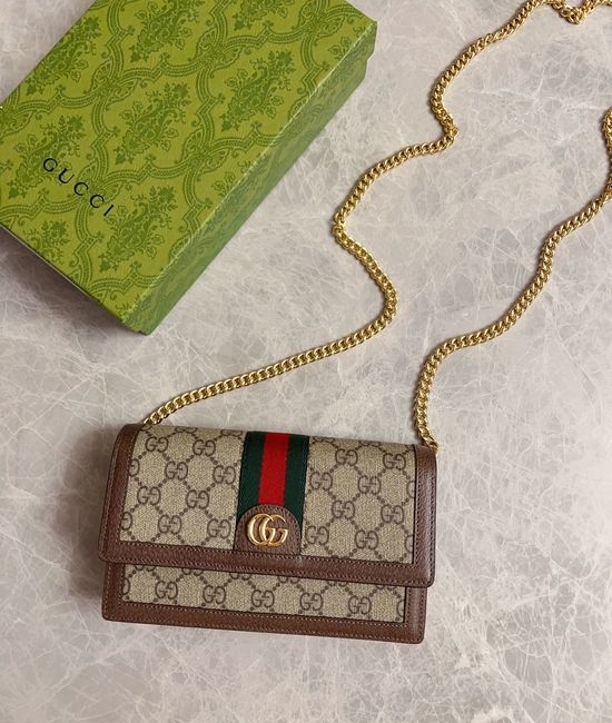 Gucci Ophidia GG Canvas Chain Bag 476079