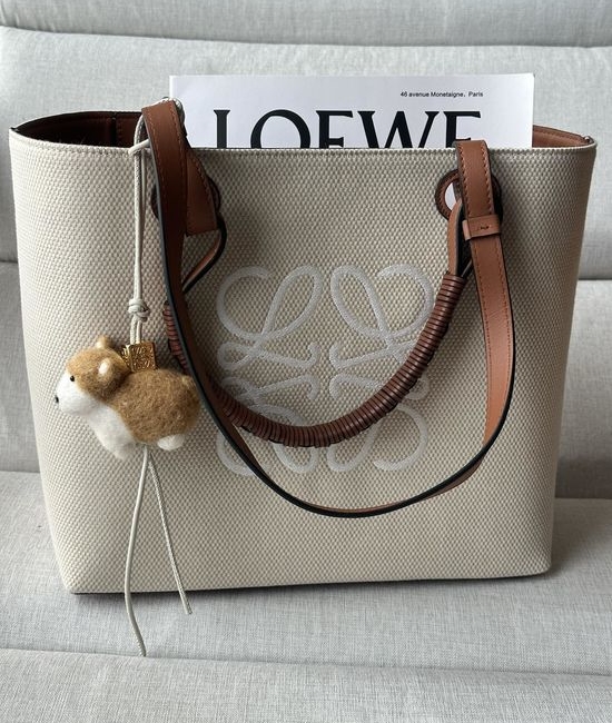 Loewe Anagram Tote Printed Handbag 3084