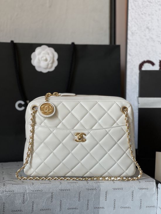 Chanel Camera Bag Lambskin Gold Hardware AS5187
