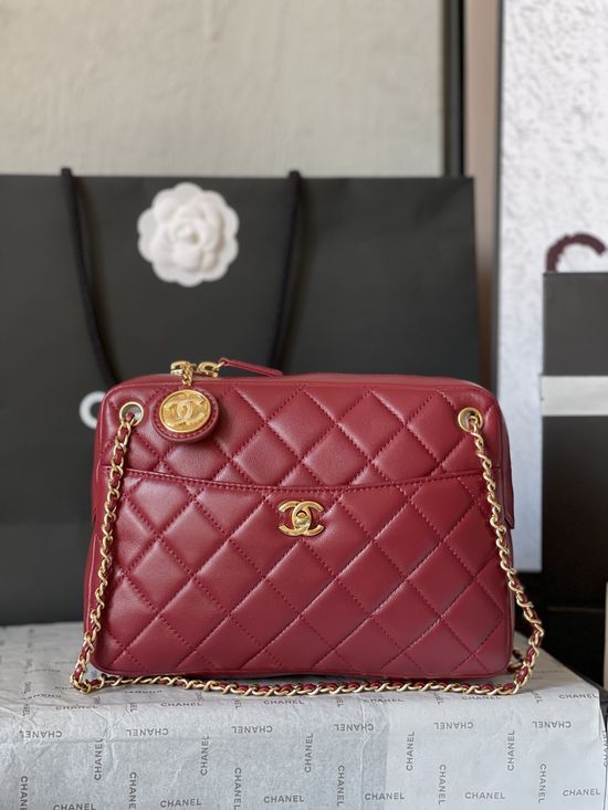 Chanel Camera Bag Lambskin Gold Hardware AS5187