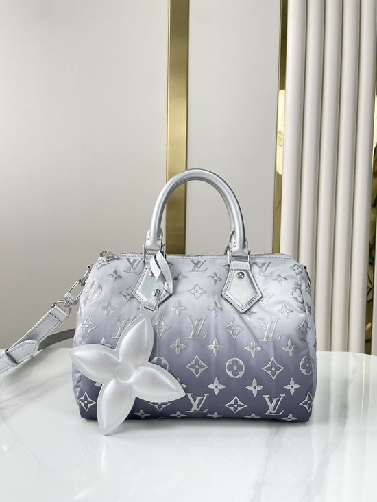 Louis Vuitton SPEEDY Quilted Pillow Handbag M11848
