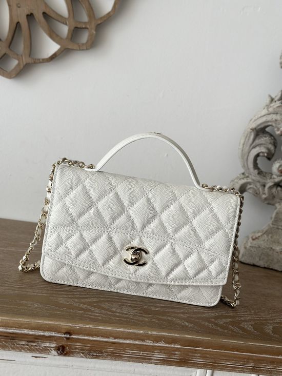 Chanel WOC Organizer Handbag Crossbody Bag 66001