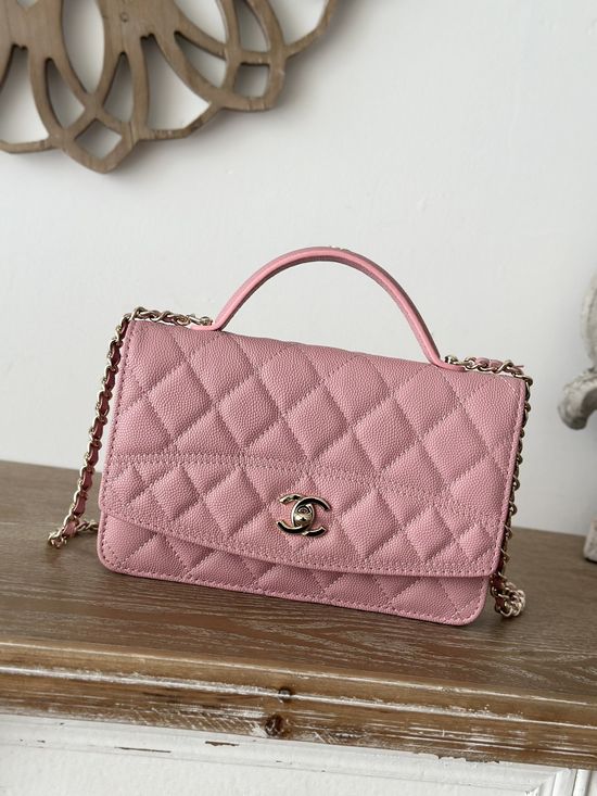 Chanel WOC Organizer Handbag Crossbody Bag 66001