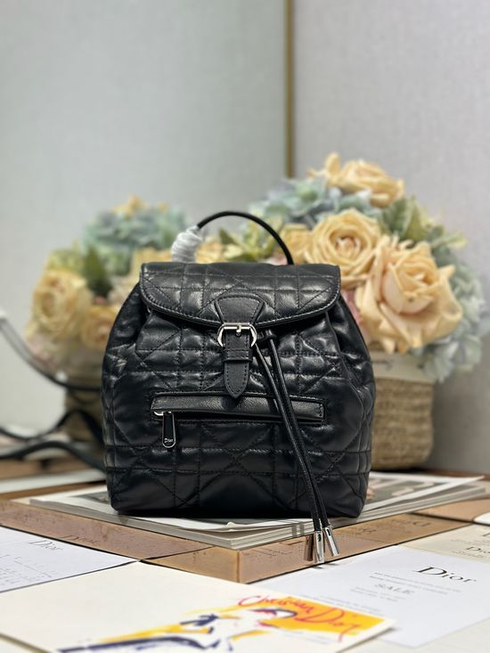 Christian Dior Small Lambskin Backpack D006