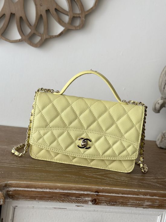 Chanel WOC Organ Bag Grained Calfskin Handbag 66001