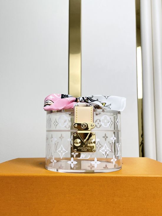 Louis Vuitton SCOTT Transparent Storage Box GI0839