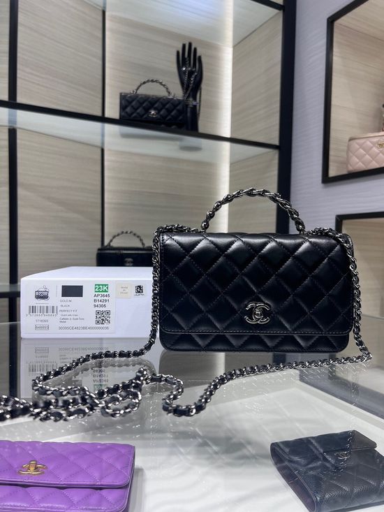 Chanel Rhinestone Handle Leather WOC AP3645Y