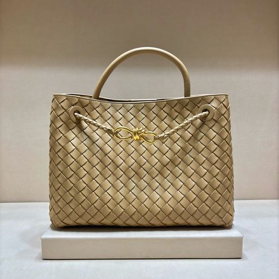 Bottega Veneta Andiamo Woven Handbag 8463