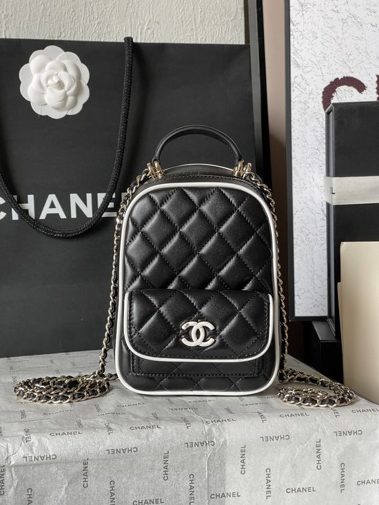 Chanel Quilted Backpack Classic Double C AS3753