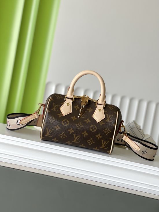 Louis Vuitton SPEEDY Monogram Pillow Bag M46234