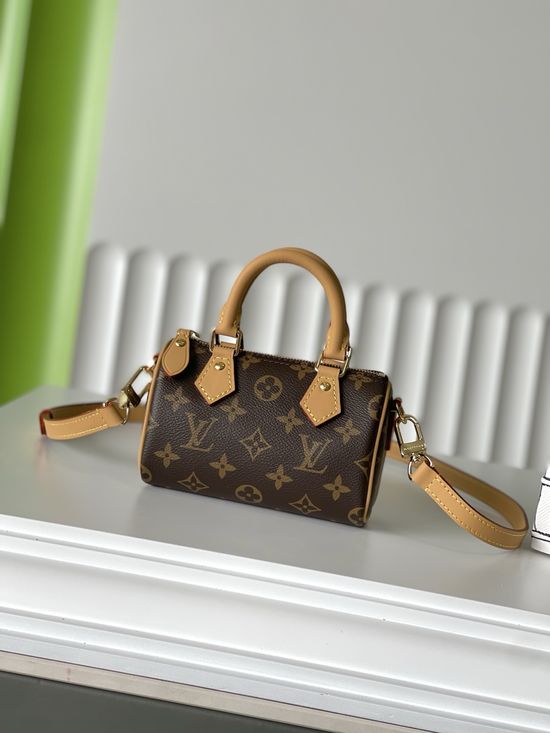 Louis Vuitton NANO SPEEDY Mini Pillow Bag 6855