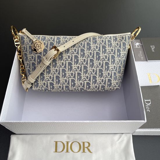 Christian Dior Hobo Chain Handbag S3202