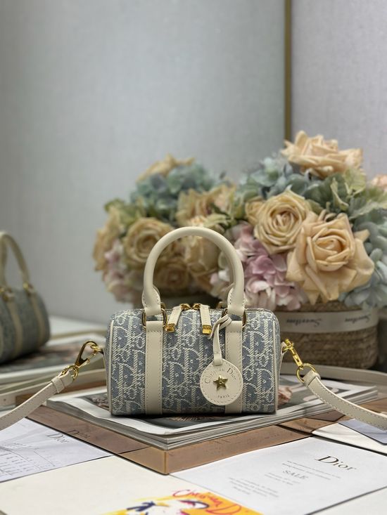 Christian Dior Groove Mini Handbag 1365