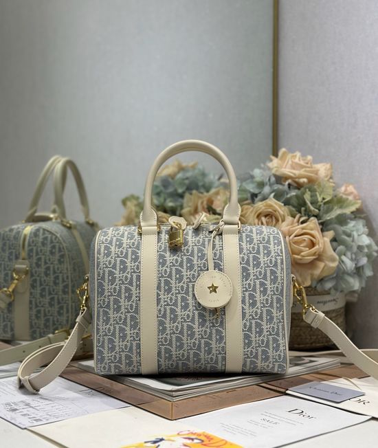 Christian Dior Groove 25 Gray Canvas Woven Handbag 1365