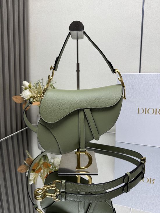Christian Dior Saddle Bag Epsom Cream Green 93271